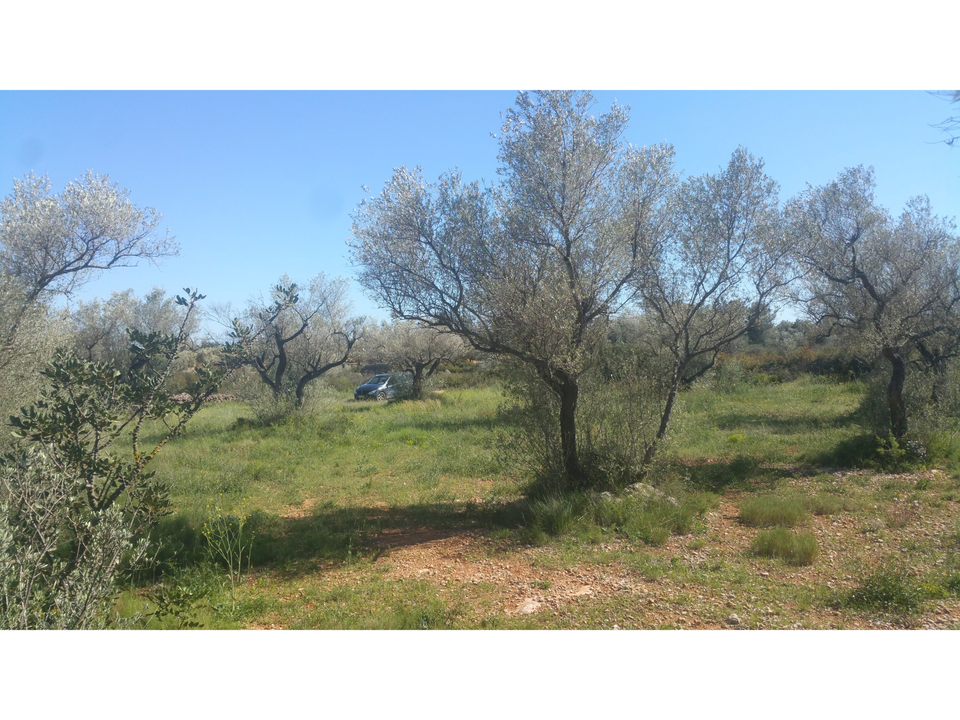 Finca en San Rafael Del Rio, Castellon - foto 2